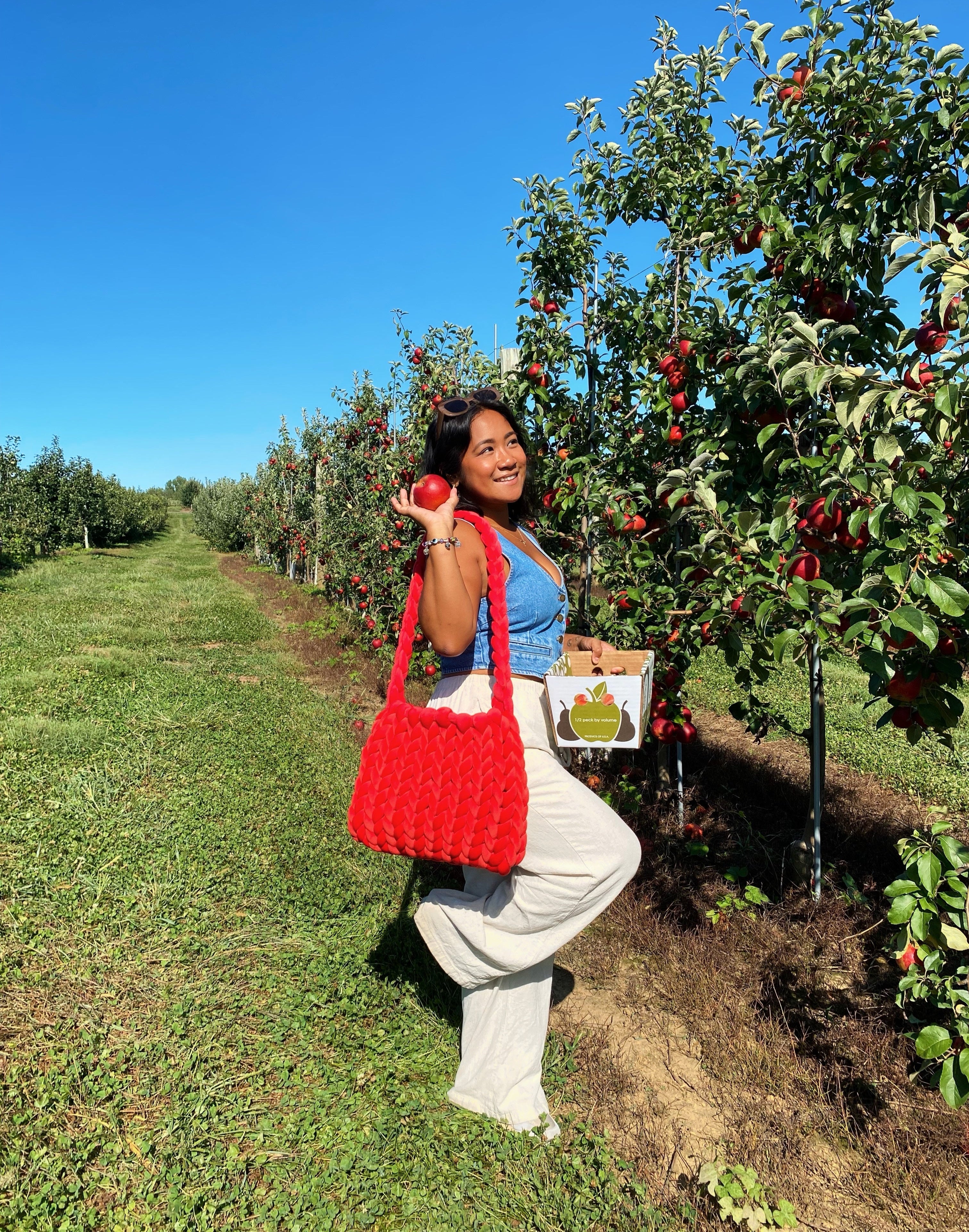 reg everyday cloud tote bag in apple orchard. it's a handmade bag that is sustainably made and hand crocheted or finger crocheted. this is in the shade bright red.